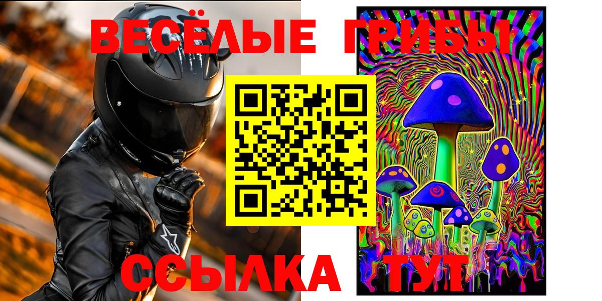 Скопин  Галлюциногенные грибы ЛСД  Вход с VPN 